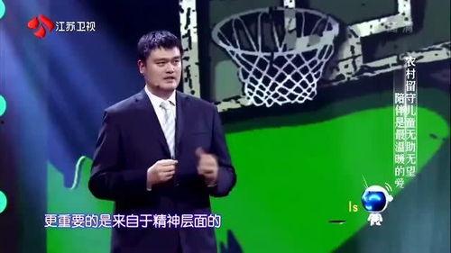 明星退役后做什么,转型之路探秘
