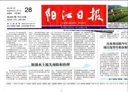 阳江日报如何爆料新闻内容,携手揭露社会热点，共建透明舆论空间