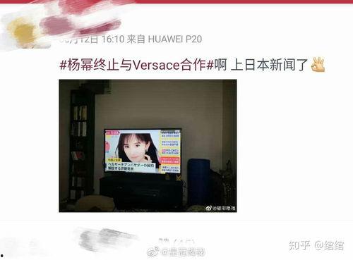日本推特推荐,探索潮流风向标
