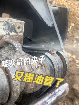 扒油管视频,揭秘幕后制作与观众反响