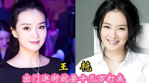 家里有个女明星txt,温馨与璀璨的交织