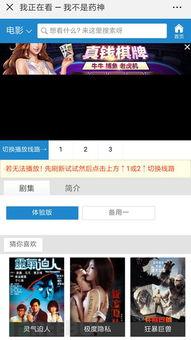 av小说正常观看网站,揭秘AV小说正常观看网站背后的秘密